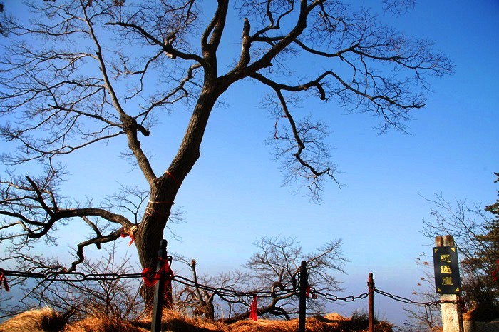 Climbing huashan 16