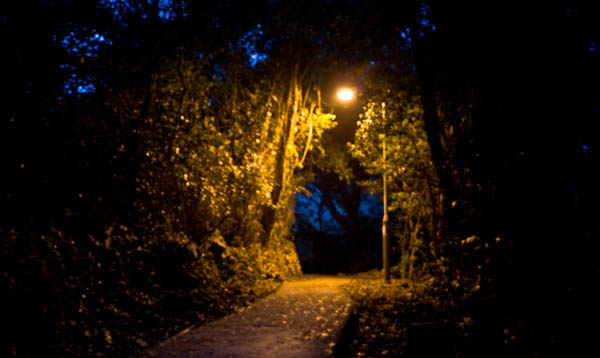 MacLehose Trail 14