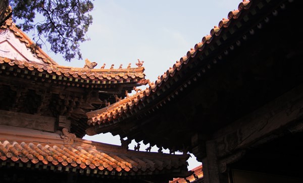 A worship trip to confucius temple in qufu 12