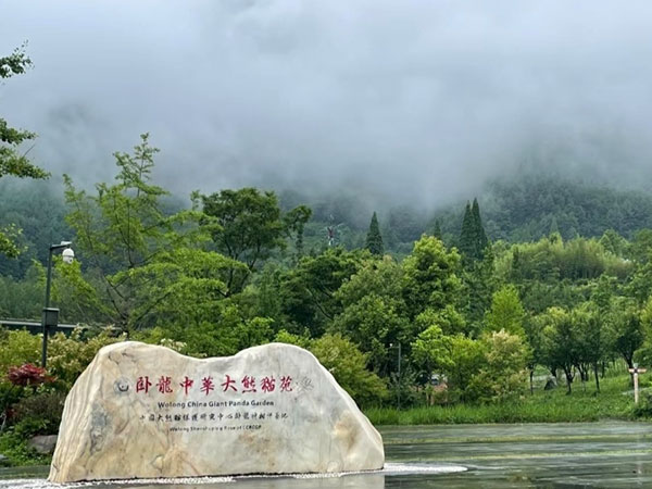 Wolong panda base in the Sichuan mountains Wolong panda base in the Sichuan mountains