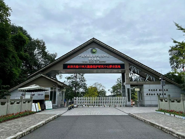 Ya’an Bifengxia panda base in a forested setting Ya’an Bifengxia panda base in a forested setting