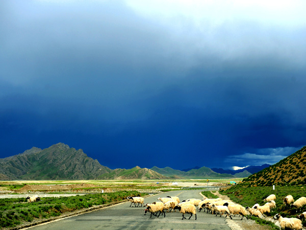 Qinghai–Tibet Highway across the plateau