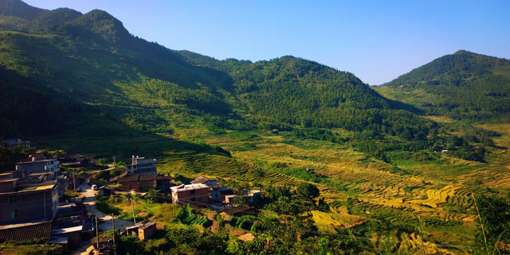 Youxi Rice Terraces in the forested hills of Fujian
