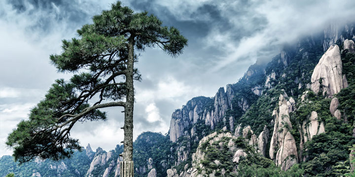 Mountain huangshan 05
