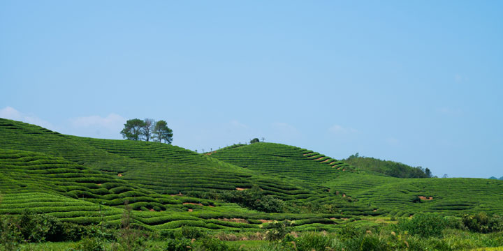 Jiangling terraces across the hills near Wuyuan in Jiangxi