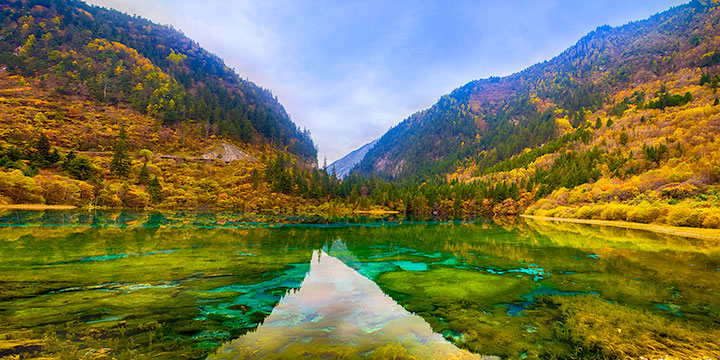 Turquoise lake and forest in Jiuzhaigou Valley