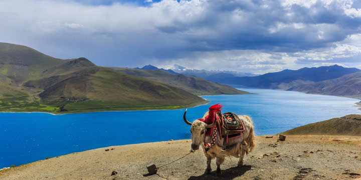 Yamdrok lake 08