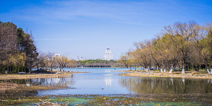 Lake, trees and walking path in Shanghai Century Park