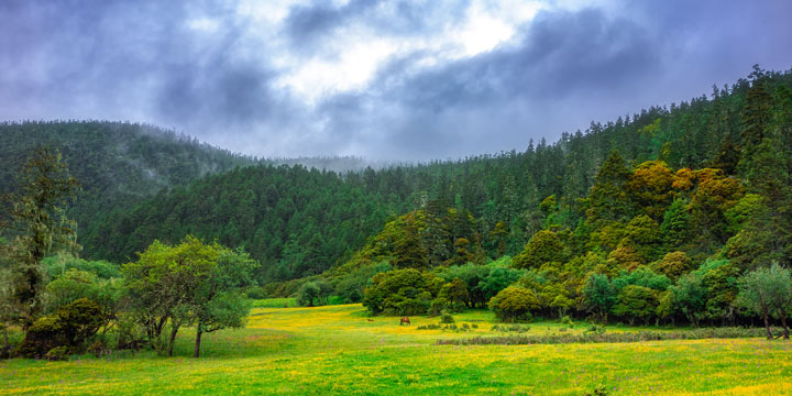 Alpine lake and forest in Potatso National Park near Shangri-La