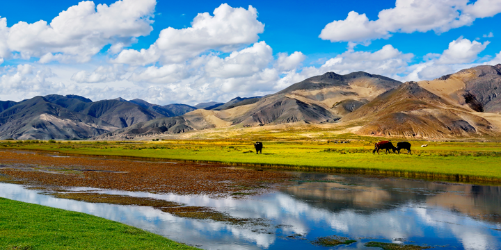 High-altitude China scenery illustrating acclimatization and access planning High-altitude China scenery illustrating acclimatization and access planning