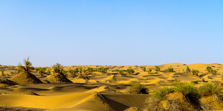 Wind-shaped dunes in the Taklamakan Desert
