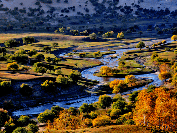 Water channels across the Sanjiang Plain wetland