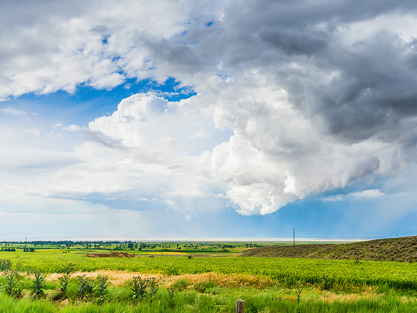 Rolling meadow in the Ili region of Xinjiang Rolling meadow in the Ili region of Xinjiang