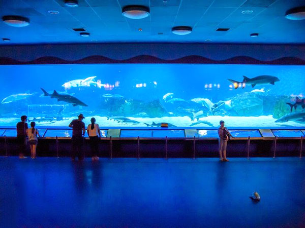 Beijing aquarium 02