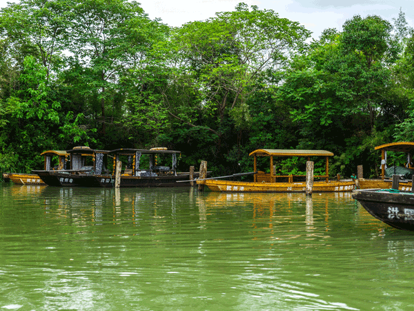 Pond and vegetation in Xixi National Wetland Park