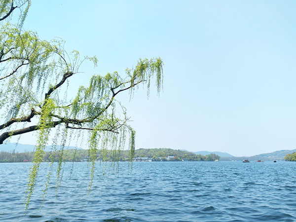 Spring Dawn at Su Causeway beside West Lake in April