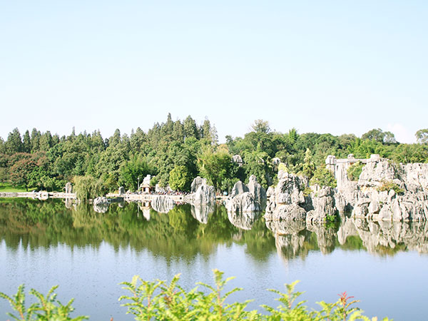 Stone Forest 4