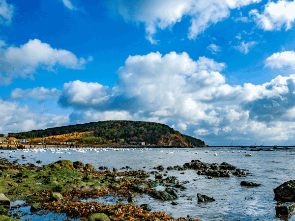 Rocky headland and sea at Chengshantou near Weihai