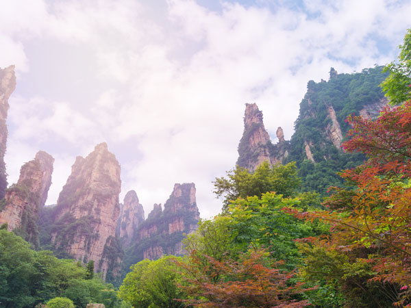 Zhangjiajie sandstone pillars in early autumn mist
