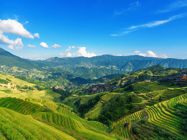 Longji Terrace