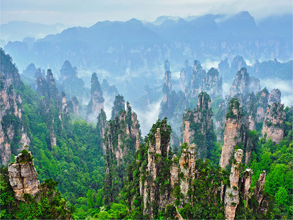 Quartz sandstone pillars and forest in Zhangjiajie Wulingyuan