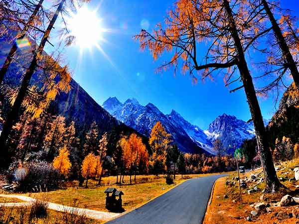 Snow mountains and autumn forest in Garzê, western Sichuan