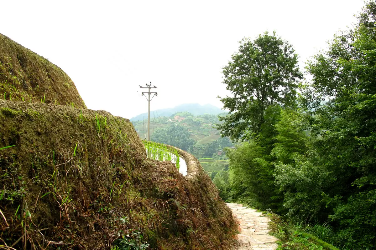 Longsheng Longji Rice Terraces