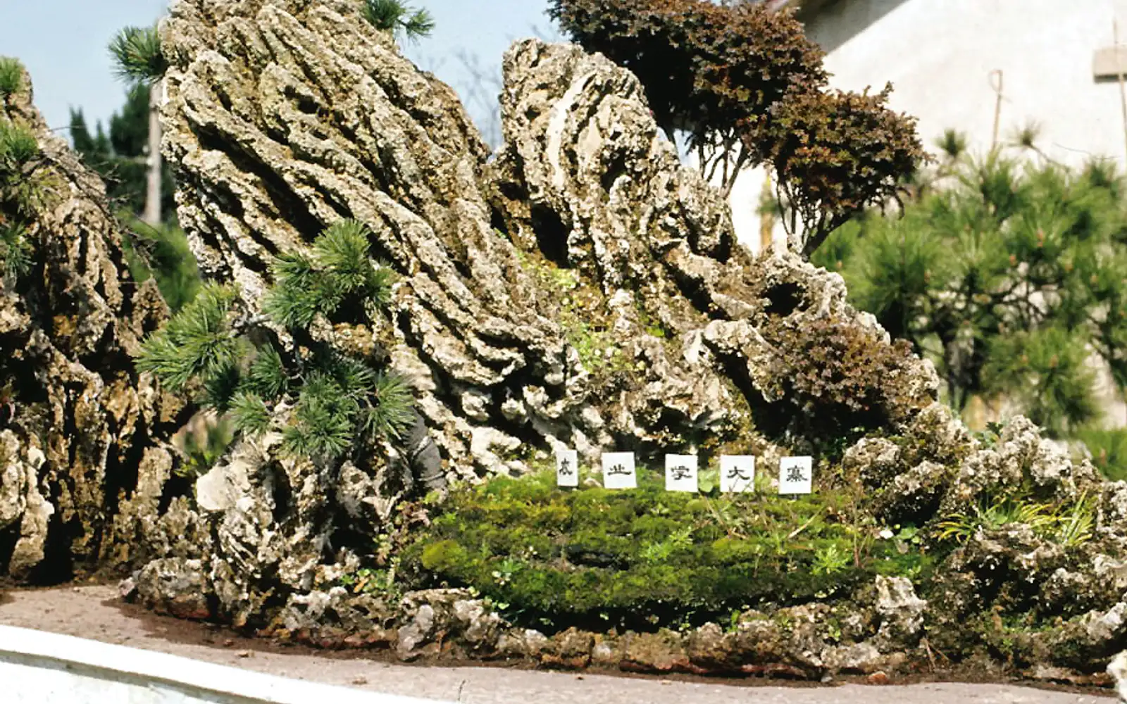 Hangzhou X-Show