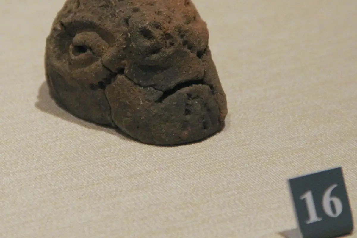 Shandong Provincial Museum
