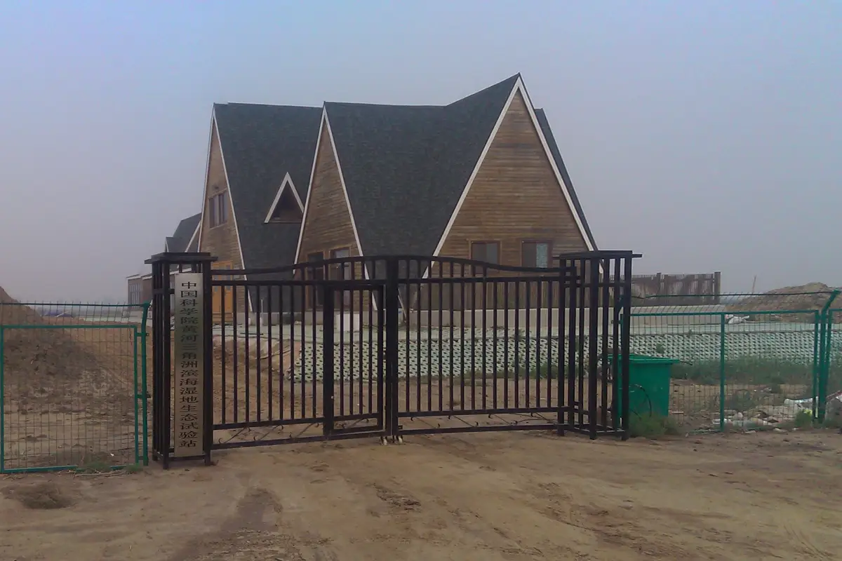 Yellow River Delta Wetland