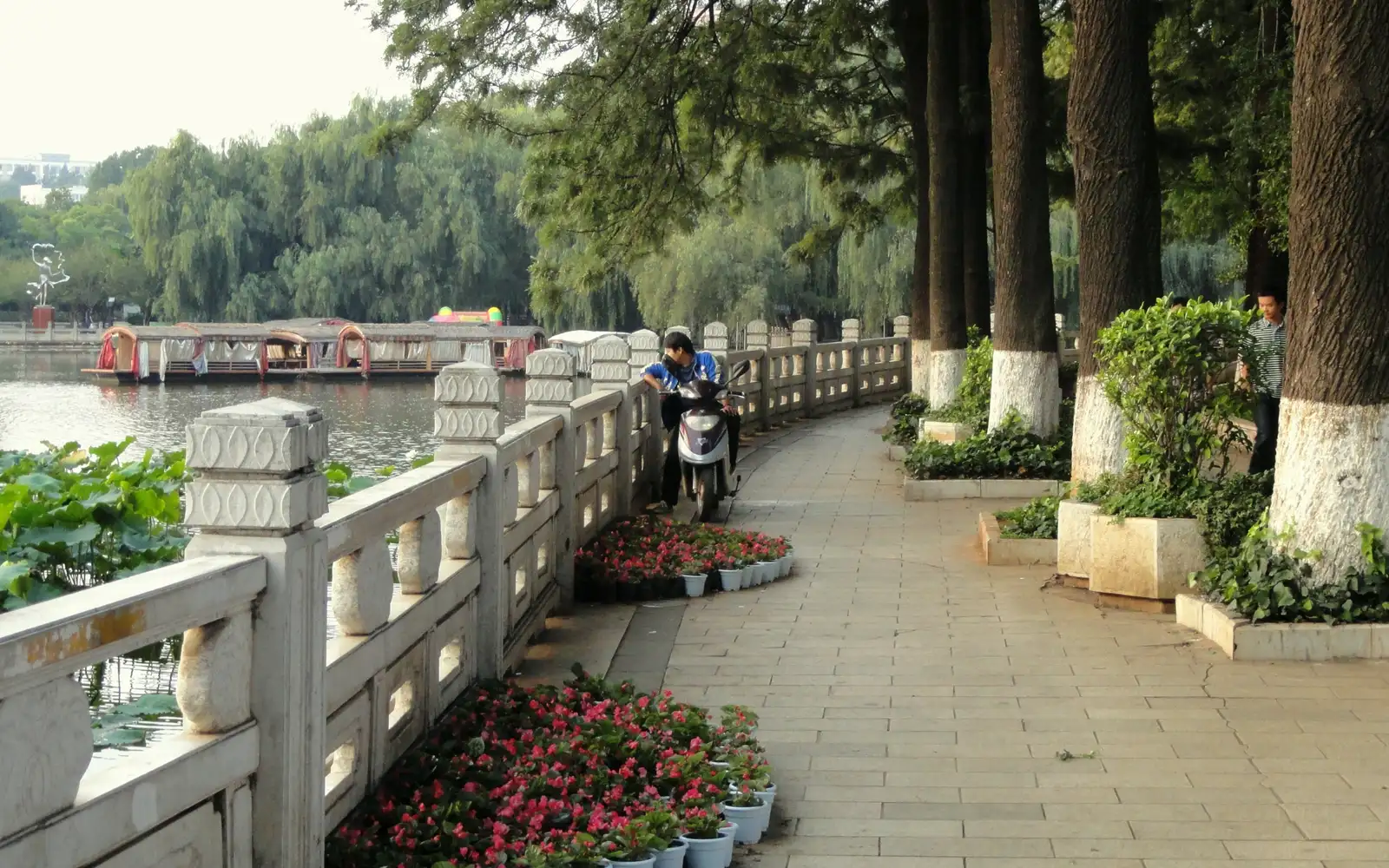 Experience the Puer Tea Culture