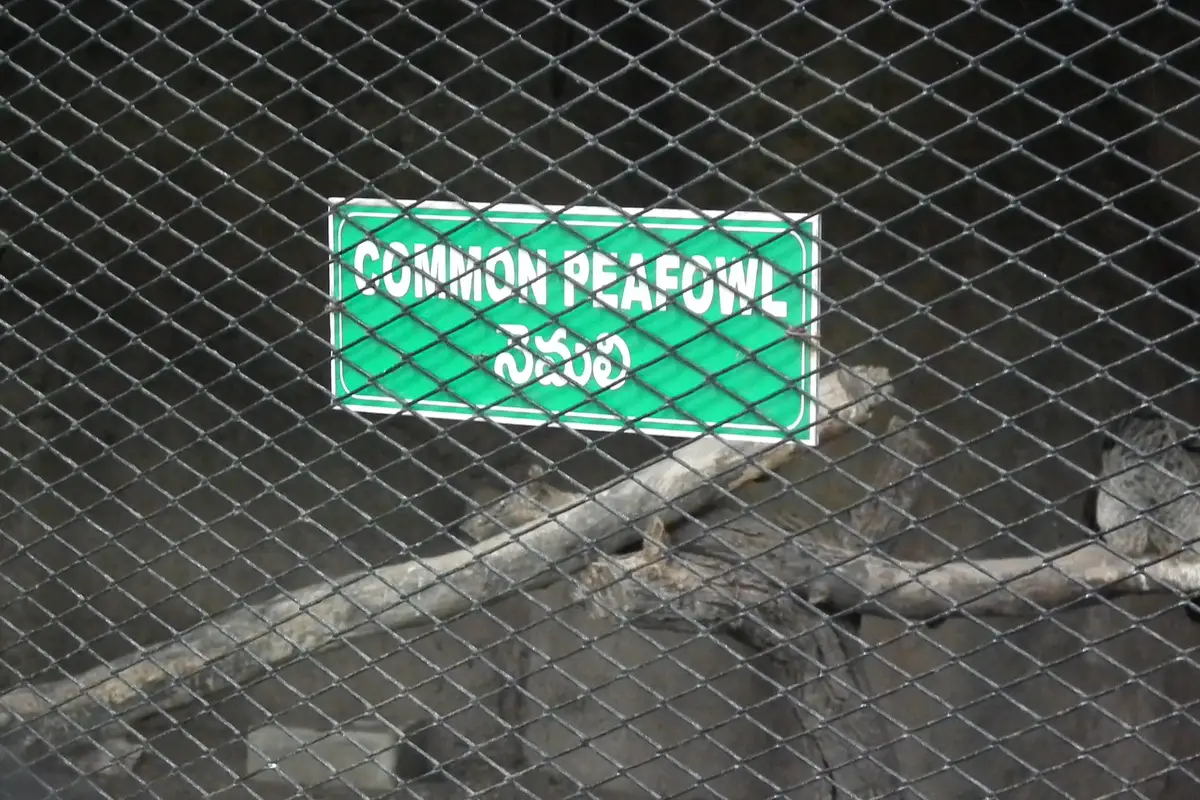 Liuzhou Zoo