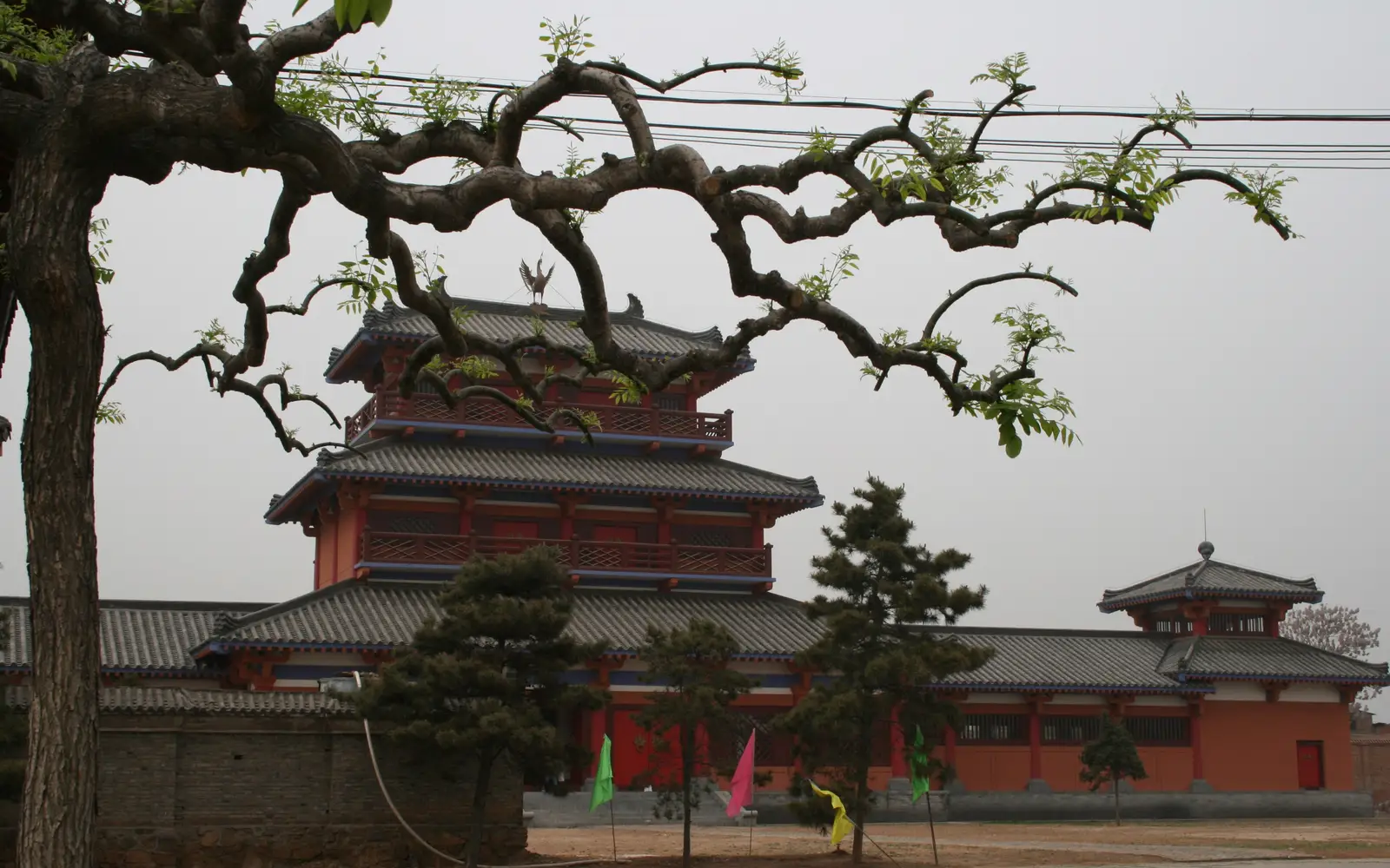 See the Kung Fu Show