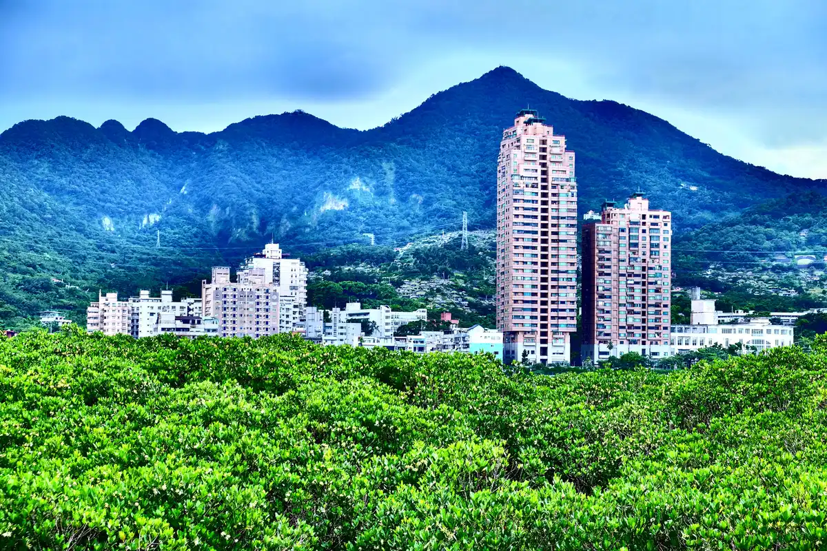 Shenzhen Mangrove Nature Reserve