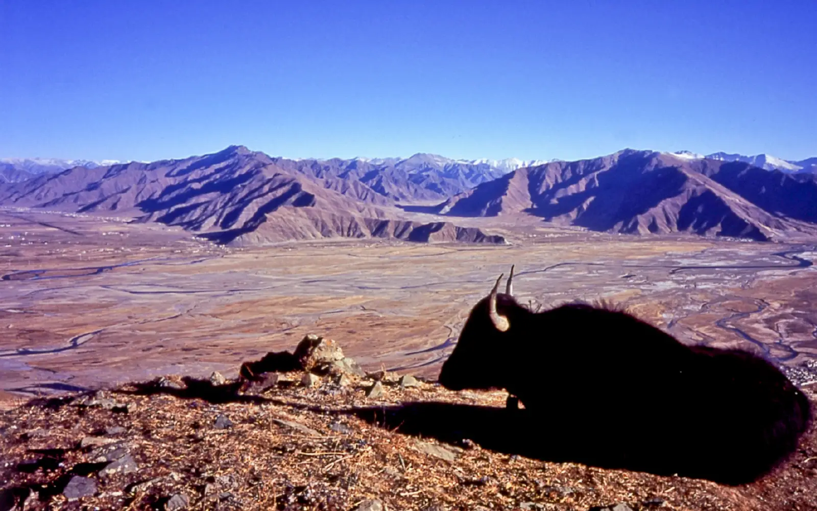 Tibetan Arts & Handicrafts