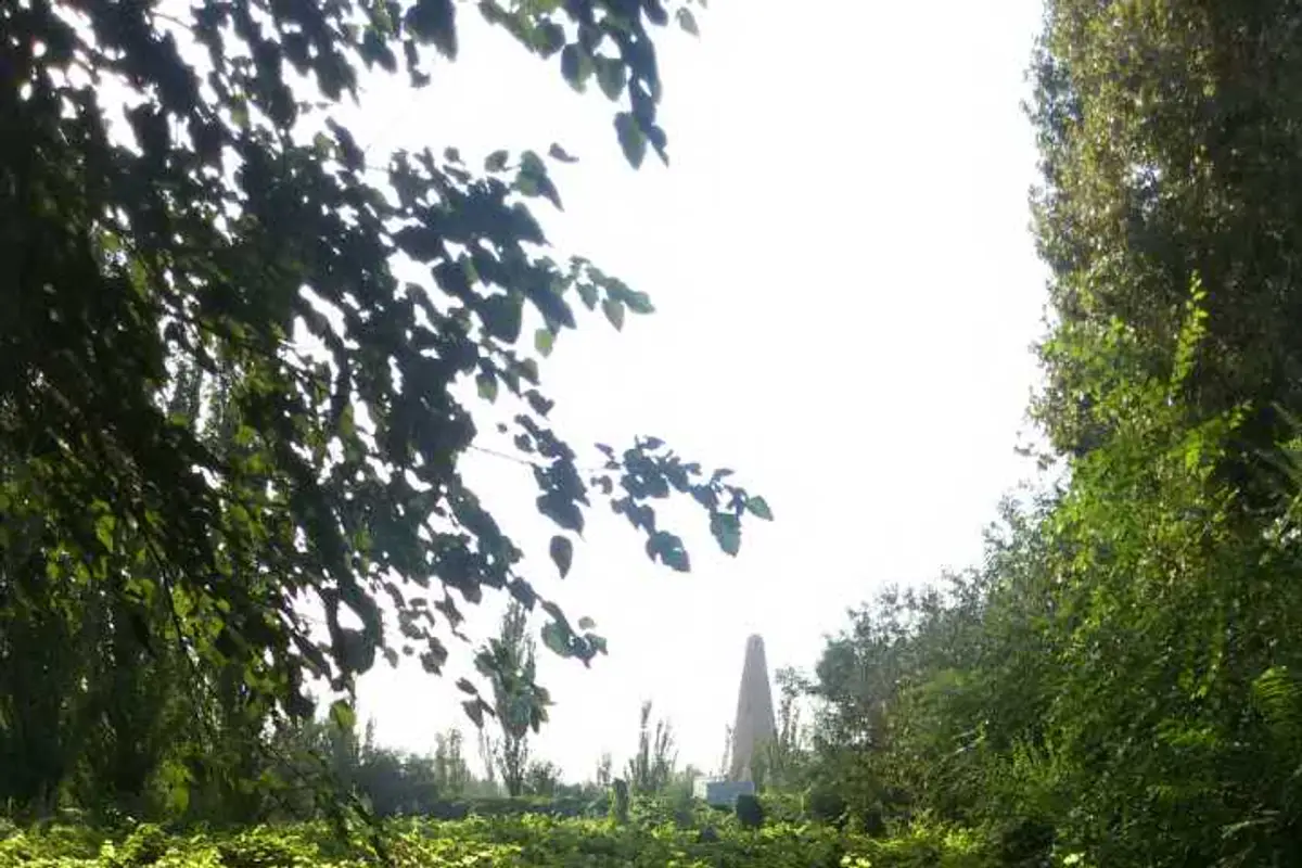 Grape Valley