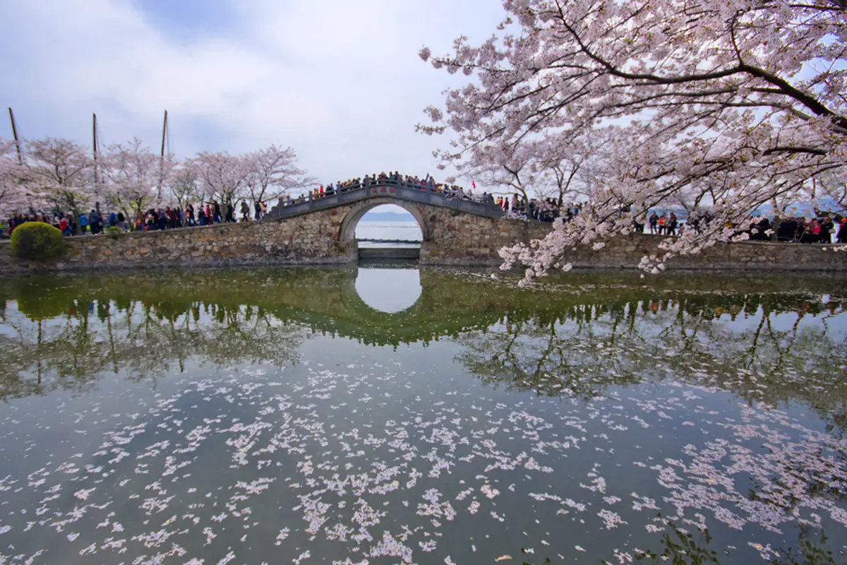 Taihu Lake