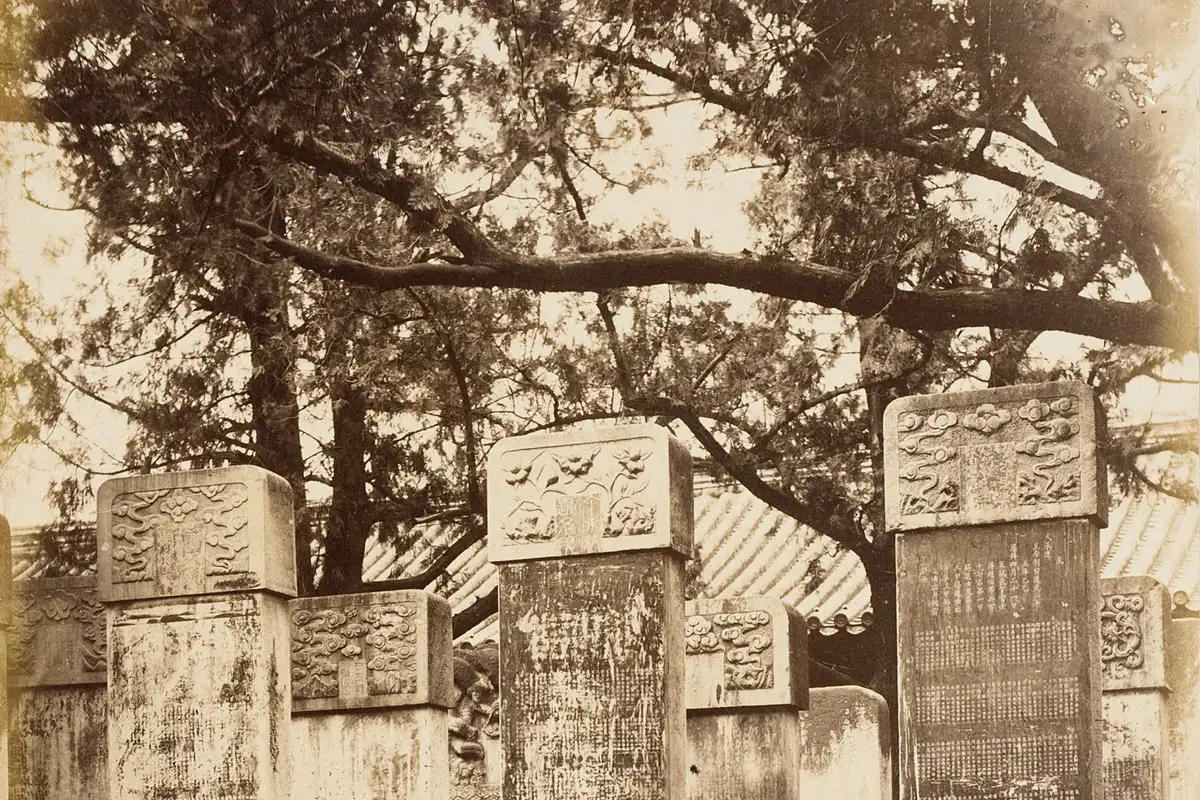 The Steles Forest