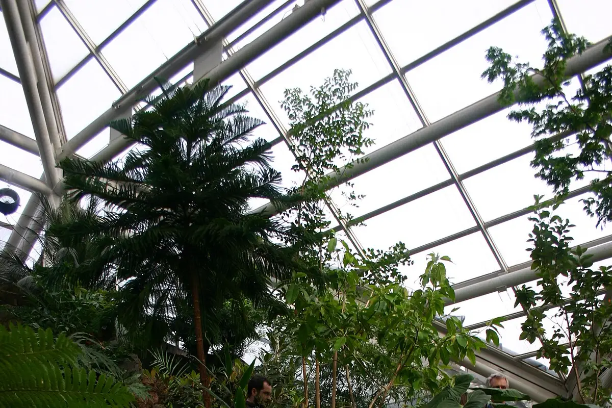 Xishuangbanna Tropical Plants Garden