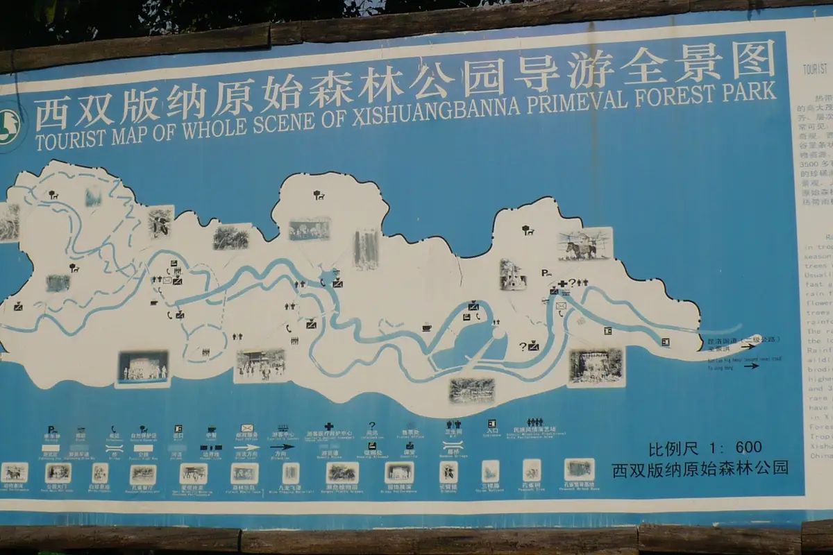 Wangtianshu (Parashorea Cathayensis) Aerial Walkway