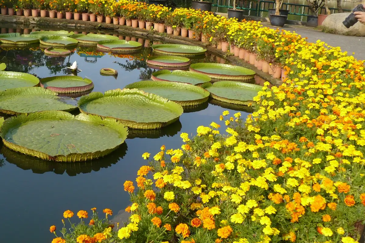 Ganlanba Dai Minority Park