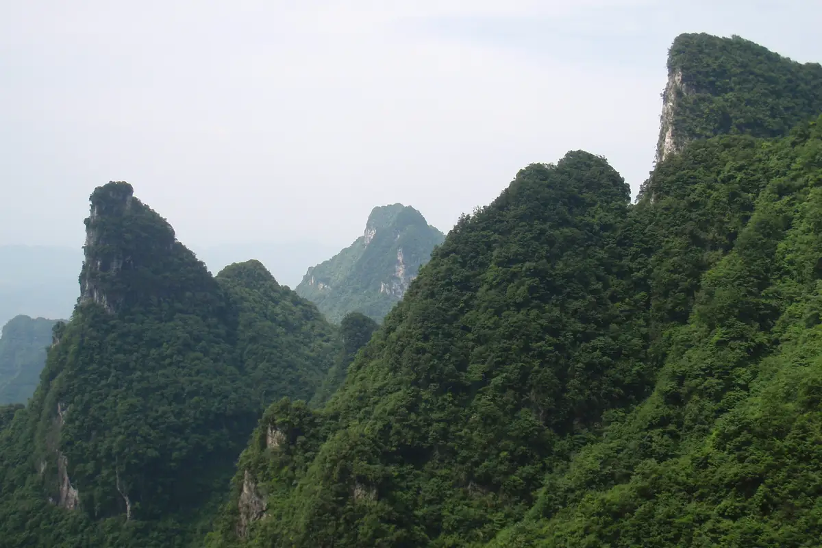 Tianzi Mountain Nature Reserve