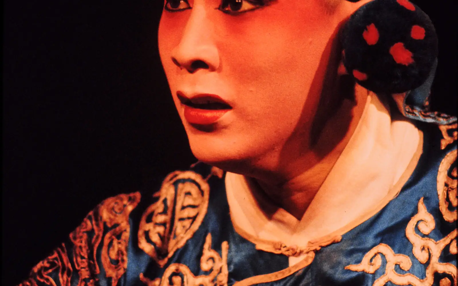 See the Peking Opera