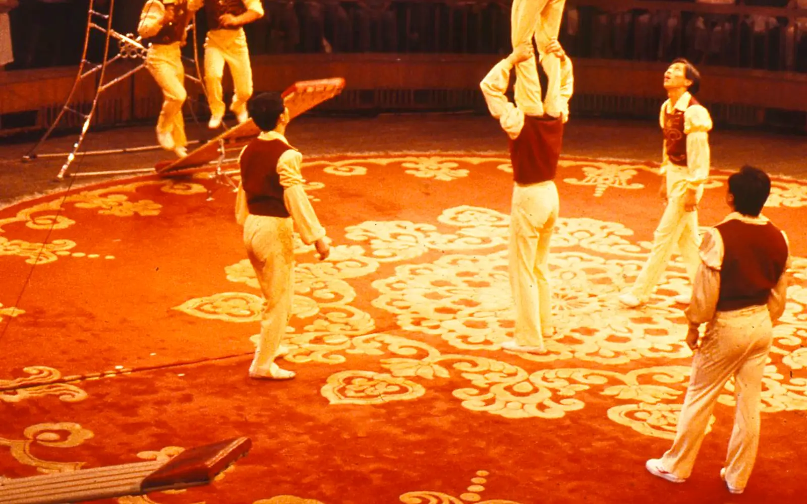 Enjoy the Acrobatics Show