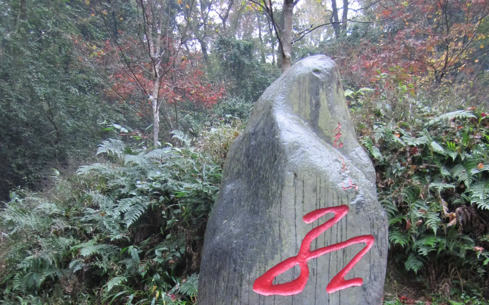 One day Changsha City Tour
