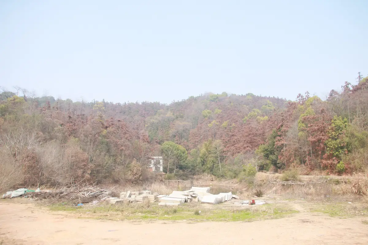 Yuelu Mountain Scenic Zone