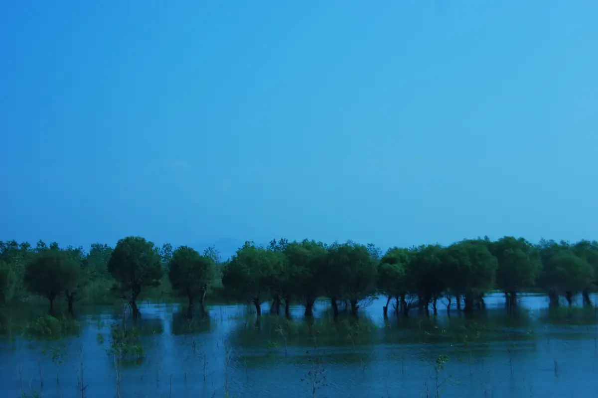 Dongting Lake