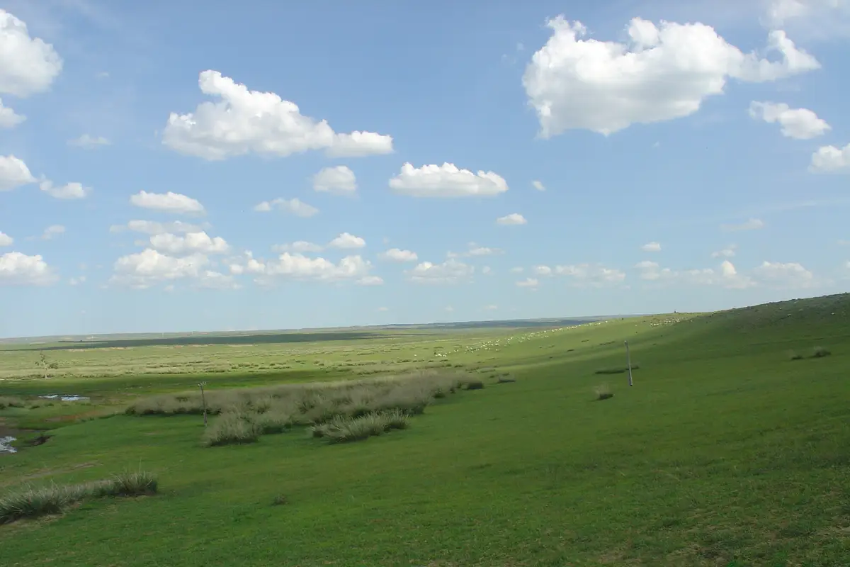 Bashang Grassland