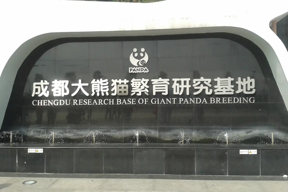 Chengdu Research Base of Giant Panda Breeding