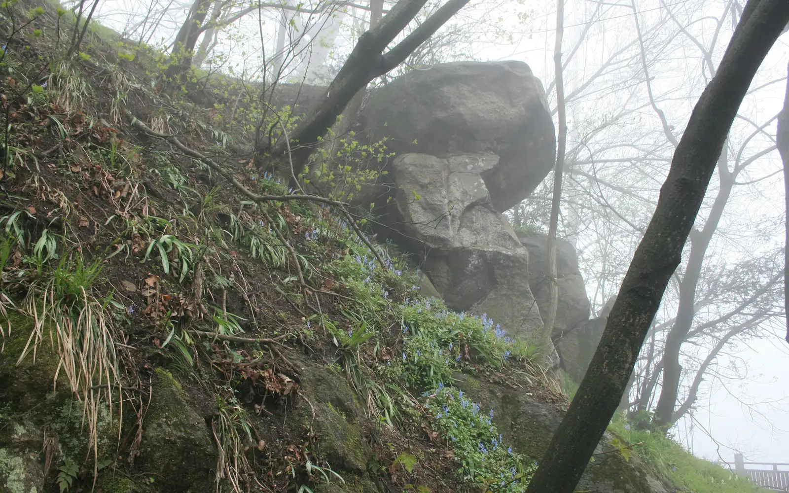 Jigong Mountain